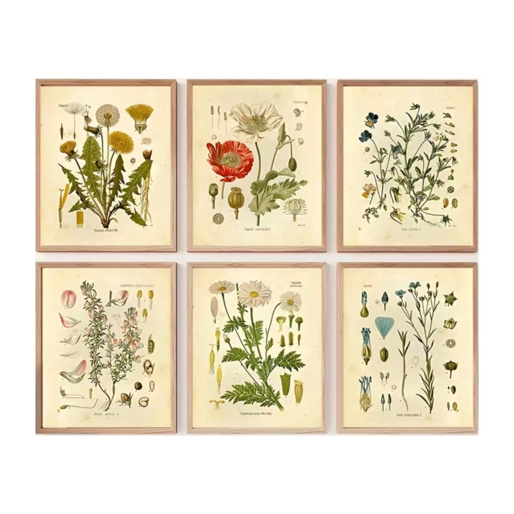 Botanical Prints Framed in 11x14 Frames with Matte -Set of 6